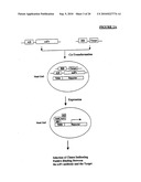 Method For Generating and Selecting Antibodies Against Target Protein diagram and image