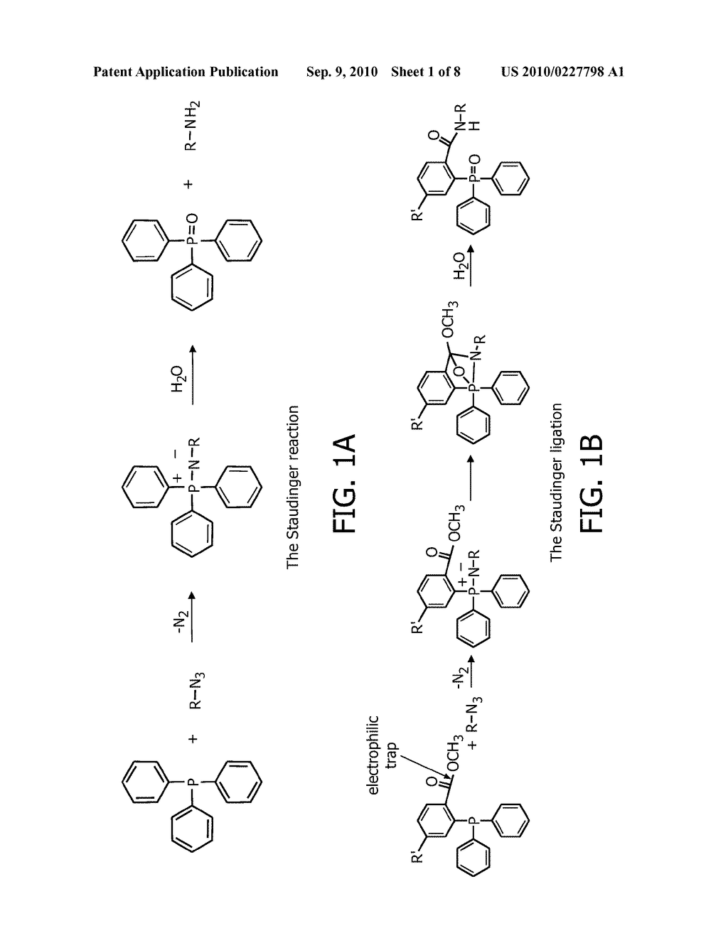 USE OF THE STAUDINGER LIGATION IN IN VIVO ASSEMBLY OF A BIOLOGICALLY ACTIVE COMPOUND - diagram, schematic, and image 02