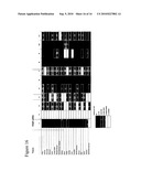 Methods and materials relating to PAQR polypeptides and polynucleotides diagram and image