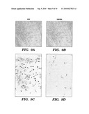 METHODS FOR REGULATING ANGIOGENESIS AND VASCULAR INTEGRITY USING TRK RECEPTOR LIGANDS diagram and image