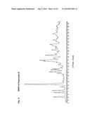 MOTILIDE POLYMORPHS diagram and image