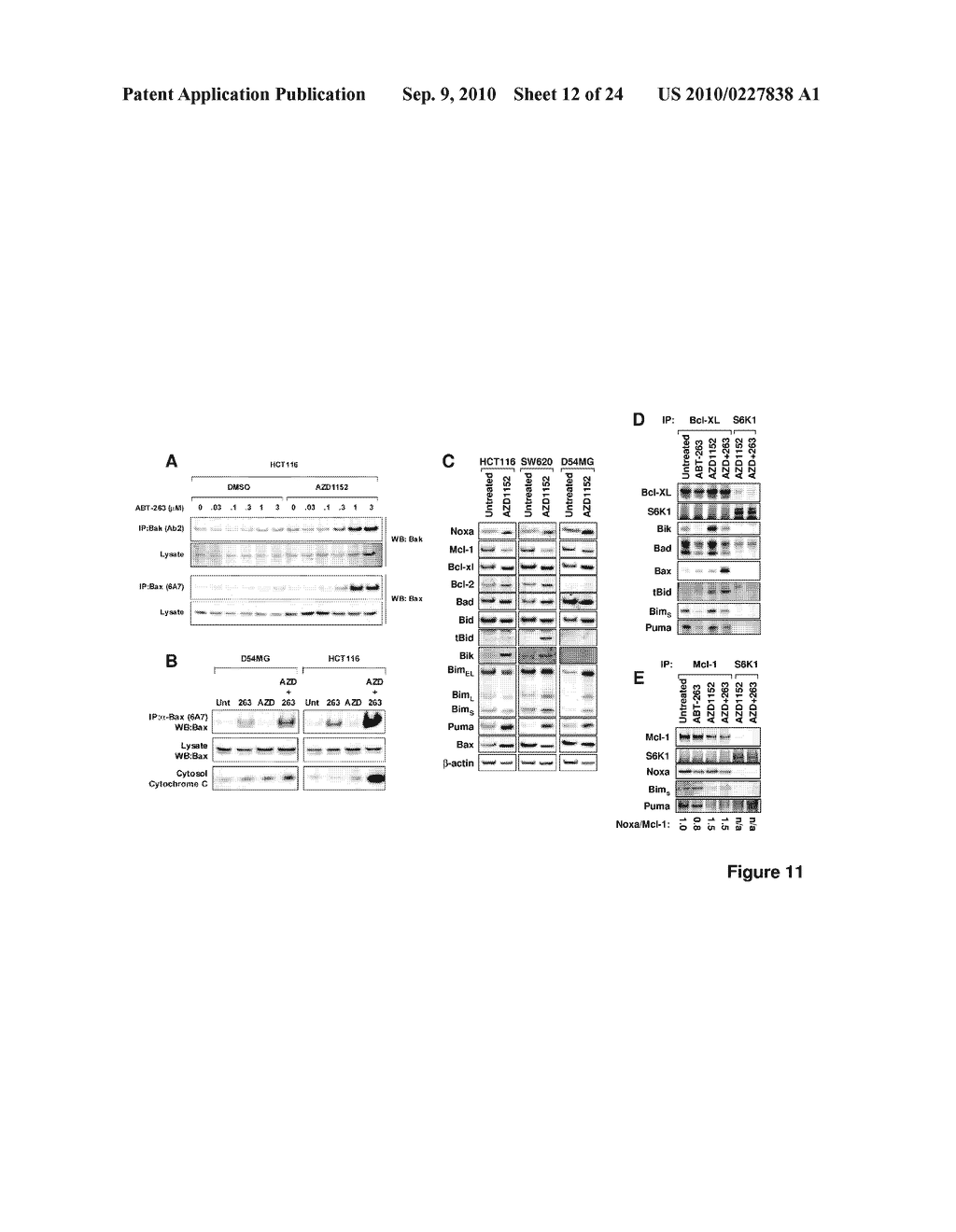 Combination Therapy for Treating Cancer and Diagnostic Assays for Use Therein - diagram, schematic, and image 13