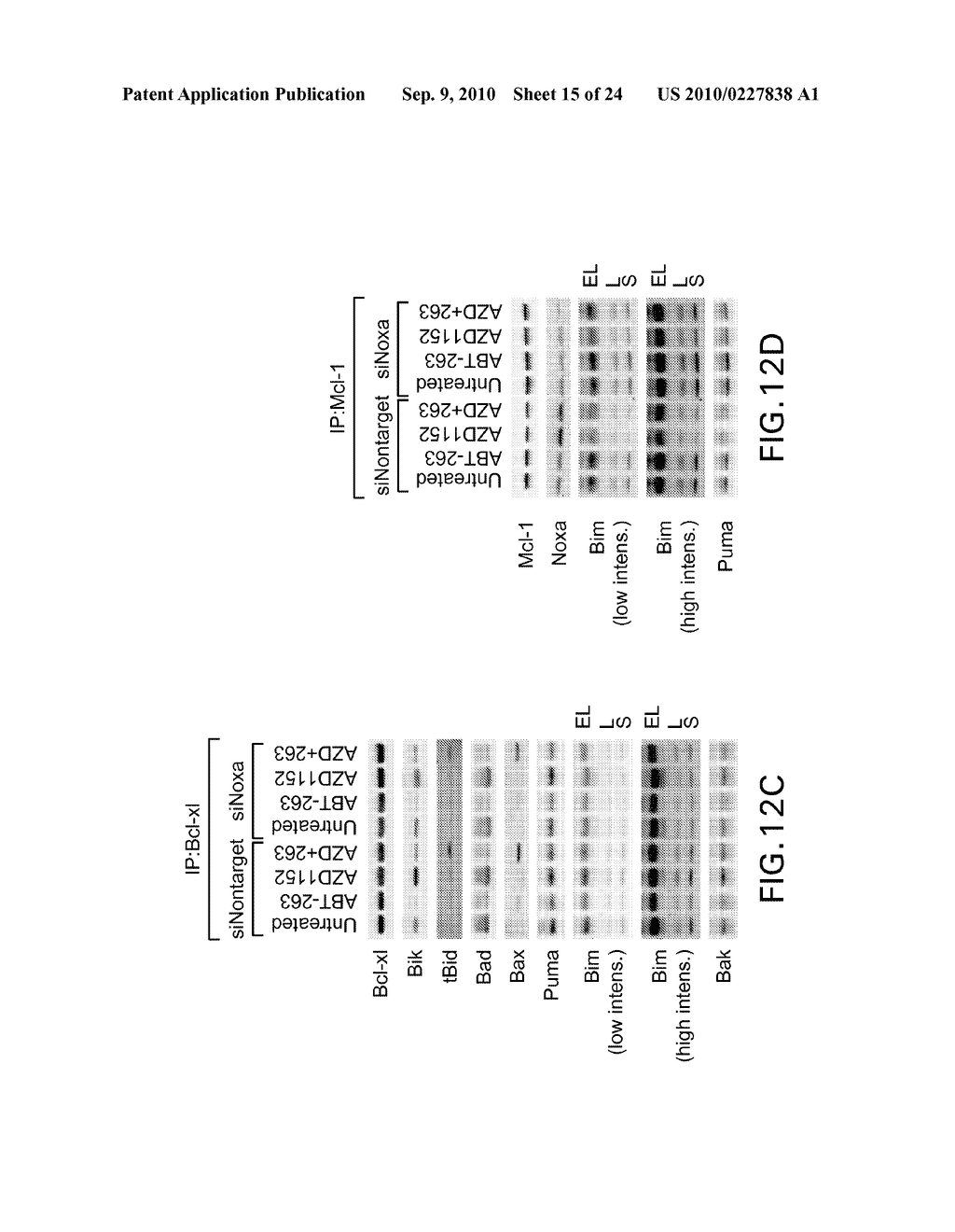 Combination Therapy for Treating Cancer and Diagnostic Assays for Use Therein - diagram, schematic, and image 16