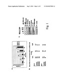 LEUKEMIA TREATMENT METHOD AND COMPOSITION diagram and image