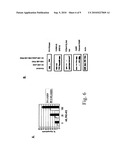 LEUKEMIA TREATMENT METHOD AND COMPOSITION diagram and image