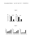 GENE FUSION TARGETED THERAPY diagram and image