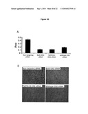 GENE FUSION TARGETED THERAPY diagram and image