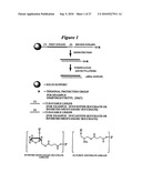 RNA INTERFERENCE MEDIATED INHIBITION OF CHROMOSOME TRANSLOCATION GENE EXPRESSION USING SHORT INTERFERING NUCLEIC ACID (siNA) diagram and image