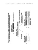 RNA INTERFERENCE MEDIATED INHIBITION OF CHROMOSOME TRANSLOCATION GENE EXPRESSION USING SHORT INTERFERING NUCLEIC ACID (siNA) diagram and image