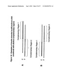 RNA INTERFERENCE MEDIATED INHIBITION OF CHROMOSOME TRANSLOCATION GENE EXPRESSION USING SHORT INTERFERING NUCLEIC ACID (siNA) diagram and image