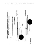 RNA INTERFERENCE MEDIATED INHIBITION OF CHROMOSOME TRANSLOCATION GENE EXPRESSION USING SHORT INTERFERING NUCLEIC ACID (siNA) diagram and image