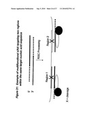 RNA INTERFERENCE MEDIATED INHIBITION OF CHROMOSOME TRANSLOCATION GENE EXPRESSION USING SHORT INTERFERING NUCLEIC ACID (siNA) diagram and image