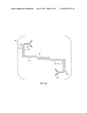 Nanoprobes for detection or modification of molecules diagram and image