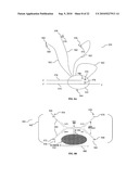 Nanoprobes for detection or modification of molecules diagram and image