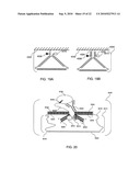 Nanoprobes for detection or modification of molecules diagram and image