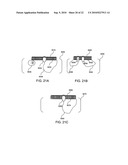 Nanoprobes for detection or modification of molecules diagram and image