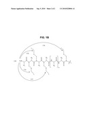 TEMPLATES FOR NUCLEATION AND PROPAGATION OF PEPTIDE SECONDARY STRUCTURE diagram and image