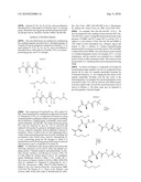 TEMPLATES FOR NUCLEATION AND PROPAGATION OF PEPTIDE SECONDARY STRUCTURE diagram and image