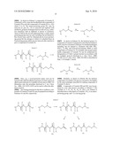 TEMPLATES FOR NUCLEATION AND PROPAGATION OF PEPTIDE SECONDARY STRUCTURE diagram and image