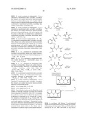 TEMPLATES FOR NUCLEATION AND PROPAGATION OF PEPTIDE SECONDARY STRUCTURE diagram and image