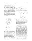 TEMPLATES FOR NUCLEATION AND PROPAGATION OF PEPTIDE SECONDARY STRUCTURE diagram and image