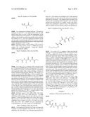 TEMPLATES FOR NUCLEATION AND PROPAGATION OF PEPTIDE SECONDARY STRUCTURE diagram and image