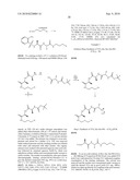 TEMPLATES FOR NUCLEATION AND PROPAGATION OF PEPTIDE SECONDARY STRUCTURE diagram and image