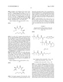 TEMPLATES FOR NUCLEATION AND PROPAGATION OF PEPTIDE SECONDARY STRUCTURE diagram and image