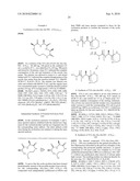 TEMPLATES FOR NUCLEATION AND PROPAGATION OF PEPTIDE SECONDARY STRUCTURE diagram and image