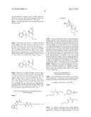 TEMPLATES FOR NUCLEATION AND PROPAGATION OF PEPTIDE SECONDARY STRUCTURE diagram and image