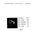 APPARATUS AND METHOD TO DETERMINE FUNCTIONAL LUNG CHARACTERISTICS diagram and image