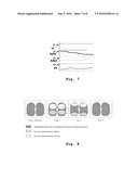 APPARATUS AND METHOD TO DETERMINE FUNCTIONAL LUNG CHARACTERISTICS diagram and image