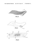 CLAY-BASED HEMOSTATIC AGENTS AND DEVICES FOR THE DELIVERY THEREOF diagram and image