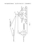 NETWORK GAMING SYSTEM diagram and image