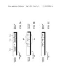 SYSTEM AND METHOD FOR CHANGING ORDER PRIORITY LEVELS IN AN ELECTRONIC TRADING ENVIRONMENT diagram and image