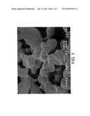 TEXTURIZED PURIFICATION STRUCTURE INCORPORATING AN ELECTROCHEMICAL CATALYST SYSTEM diagram and image