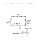 COIL ANTENNA AND NON-CONTACT INFORMATION MEDIUM diagram and image