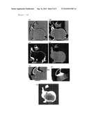 IMAGE PROCESSING APPARATUS, METHOD AND PROGRAM diagram and image