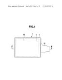 PROTECTIVE PLATE INTEGRATED DISPLAY APPARATUS diagram and image