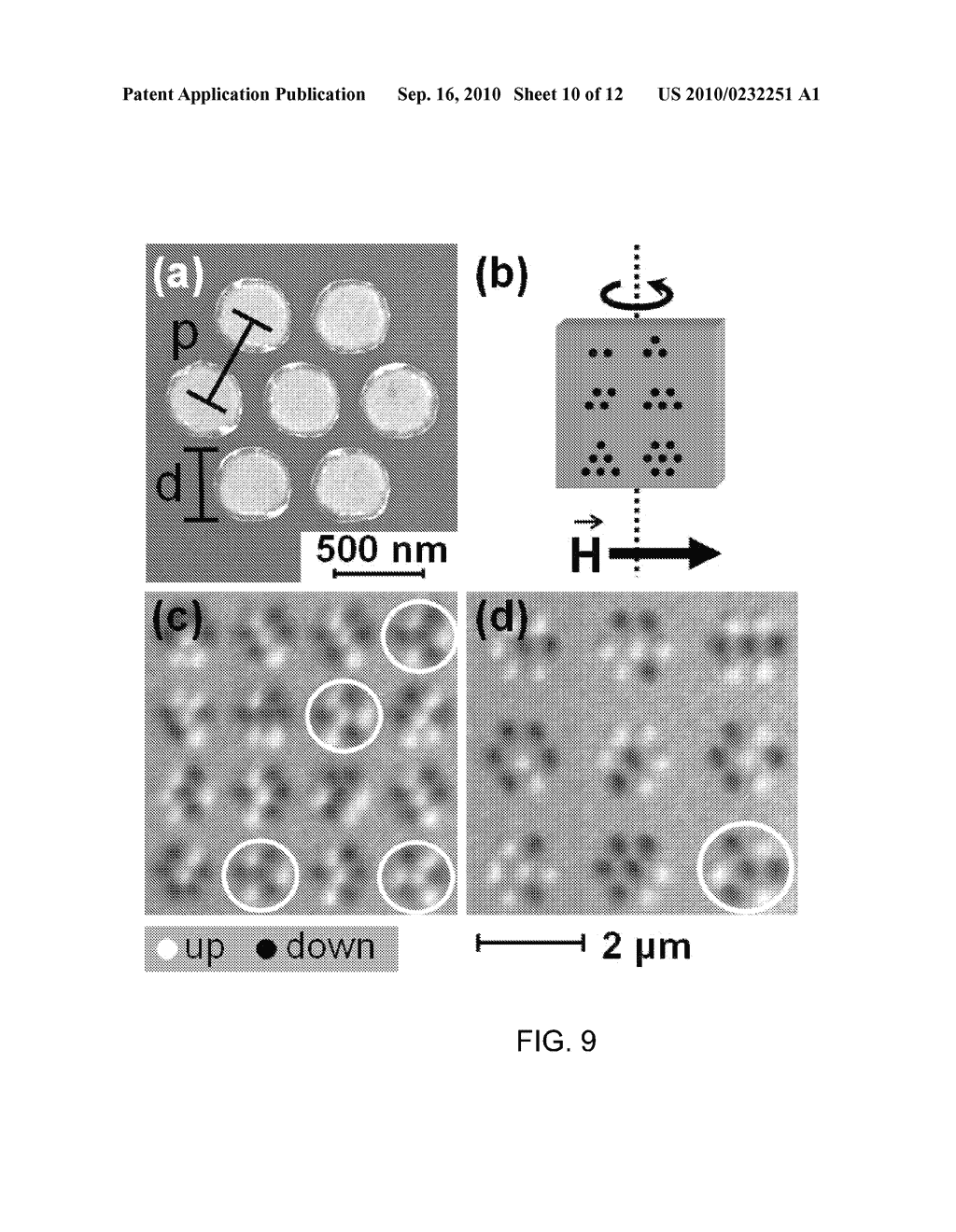 METHOD AND SYSTEM FOR CODING AND READ OUT OF INFORMATION IN A MICROSCOPIC CLUSTER COMPRISING COUPLED FUNCTIONAL ISLANDS - diagram, schematic, and image 11