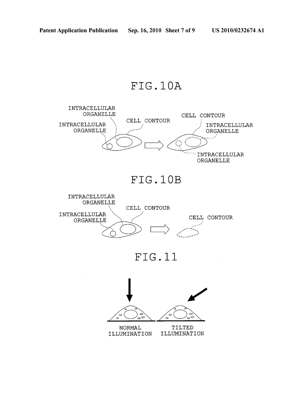 CELL-IMAGE ANALYZING APPARATUS - diagram, schematic, and image 08