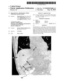 HIERARCHICAL DEFORMABLE MODEL FOR IMAGE SEGMENTATION diagram and image