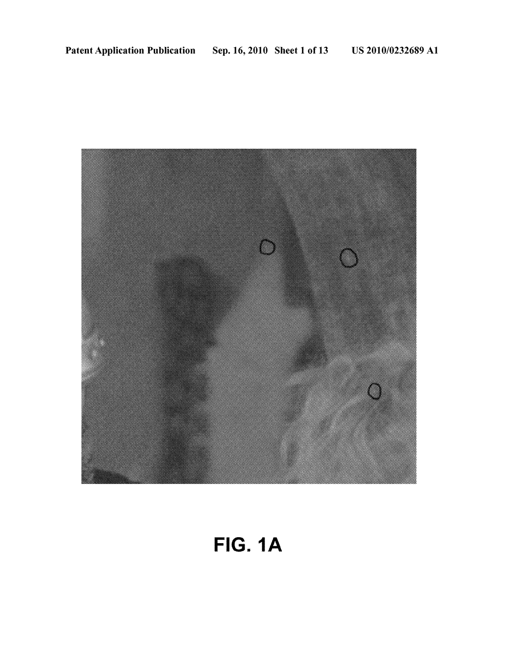 CORRECTION OF BLOTCHES IN COMPONENT IMAGES - diagram, schematic, and image 02