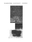 COMPOUNDS FOR USE IN IMAGING, DIAGNOSING AND/OR TREATMENT OF DISEASES OF THE CENTRAL NERVOUS SYSTEM OR OF TUMORS diagram and image