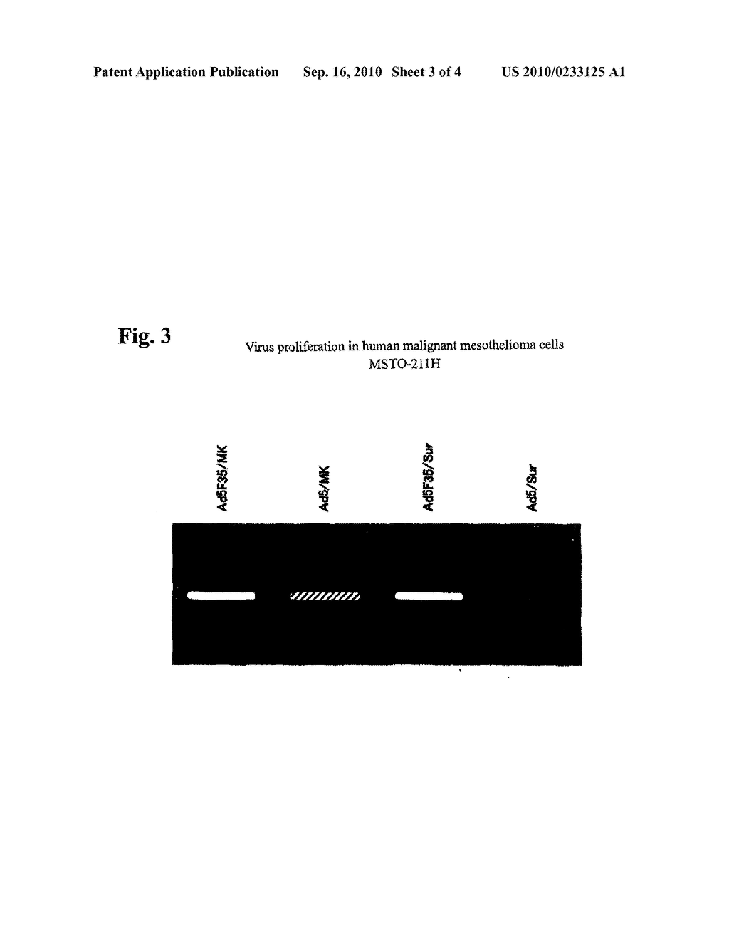 CHIMERIC ADENOVIRUS, METHOD FOR PRODUCING THE SAME AND PHARMACEUTICAL USING THE SAME - diagram, schematic, and image 04