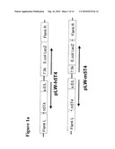 POLYPEPTIDE diagram and image