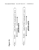 POLYPEPTIDE diagram and image