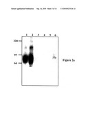 POLYPEPTIDE diagram and image