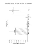 POLYPEPTIDE diagram and image