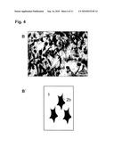 COLLAGEN-CONTAINING CELL CARRIER diagram and image